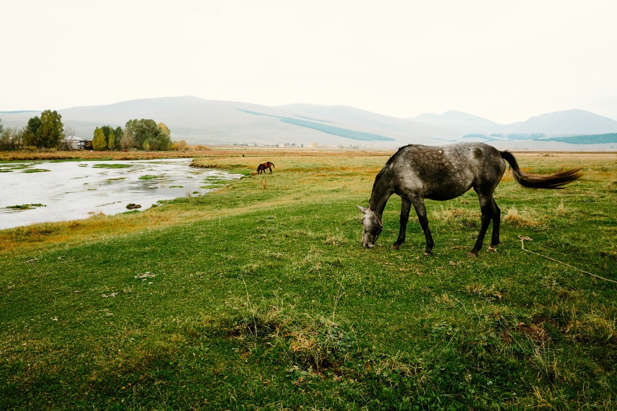 A Home Already Lost — Tsalka, Georgia — frame